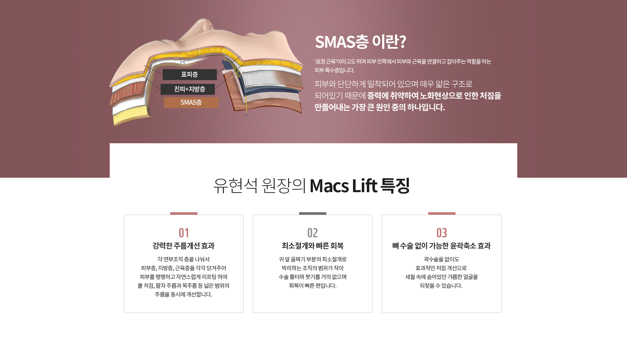 SMAS층이란? 
		‘표정 근육’이라고도 하며 피부 안쪽에서 피부와 근육을 연결하고 잡아주는 역할을 하는 피부 특수층입니다. 
		피부와 단단하게 밀착되어 있으며 매우 얇은 구조로 되어있기 때문에 중력에 취약하여 노화현상으로 인한 처짐을 만들어내는 가장 큰 원인 중의 하나입니다.
		
		유현석 원장의 Macs Lift 특징 
		강력한 주름개선 효과
		각 연부조직 층을 나눠서 
		피부층, 지방층, 근육층을 각각 당겨주어
		피부를 팽팽하고 자연스럽게 리프팅 하여
		볼 처짐, 팔자 주름과 목주름 등 넓은 범위의 주름을 동시에 개선합니다.

		최소절개와 빠른 회복
		귀 앞 골짜기 부분의 최소절개로 박리하는 조직의 범위가 작아 수술 흉터와 붓기를 거의 없으며
		 회복이 빠른 편입니다. 

		뼈 수술 없이 가능한
		윤곽축소 효과
		곽수술을 없이도 효과적인 처짐 개선으로 
		세월 속에 숨어있던 갸름한 얼굴을 되찾을 수 있습니다.