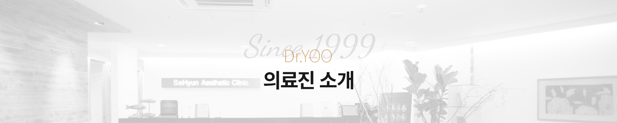 의료진 소개